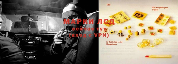 PSILOCYBIN Балахна